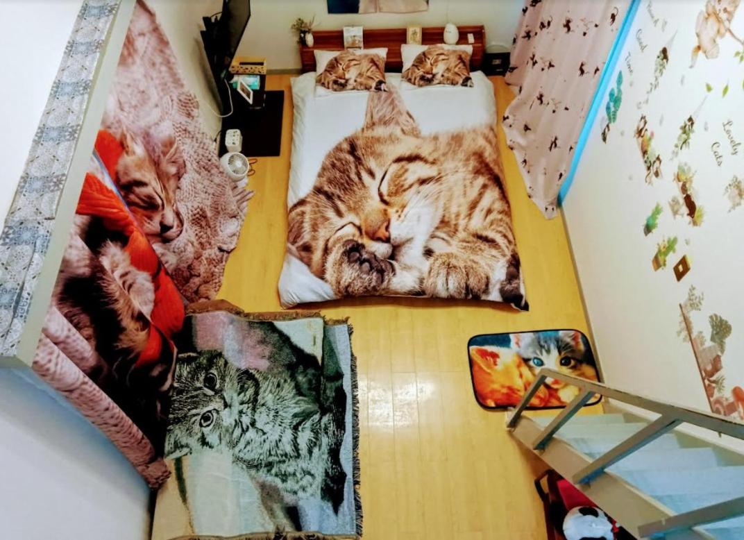Ferienwohnung Tokyo Shibuya Shinjyuku Cat House ! Exterior foto